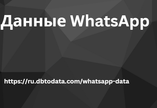 Данные WhatsApp