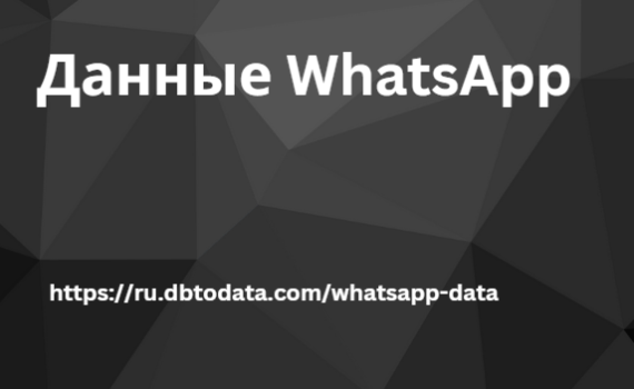 Данные WhatsApp