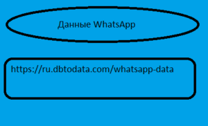 Данные WhatsApp